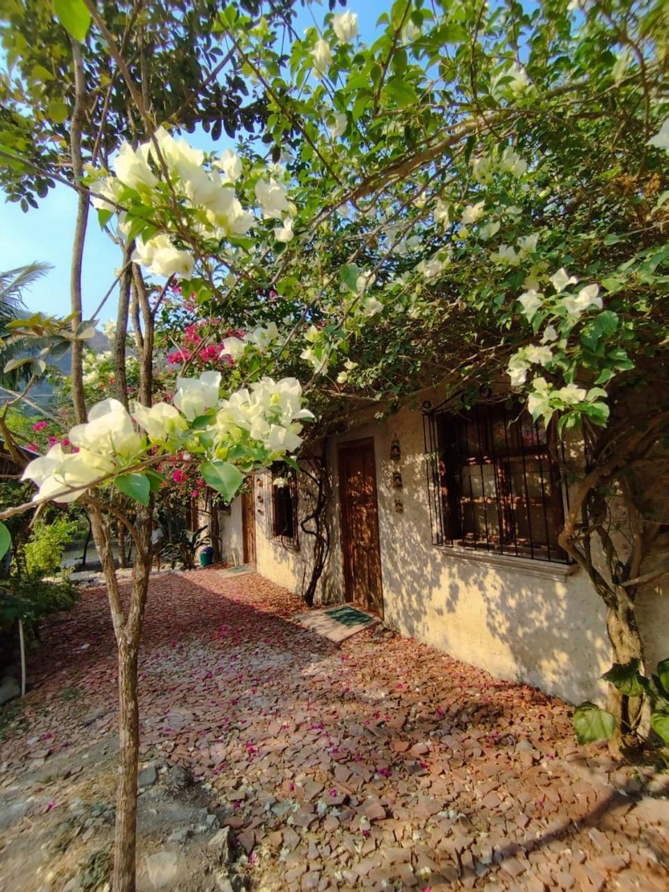 Yaxlik River Lodge Lanquín Extérieur photo